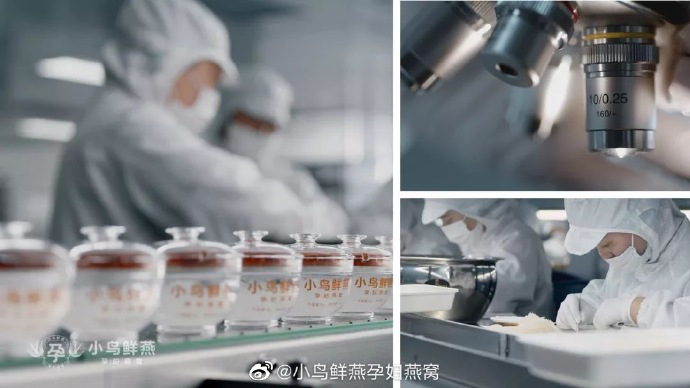 孕妇吃燕窝好处,孕妇吃燕窝吃法,孕妇燕窝